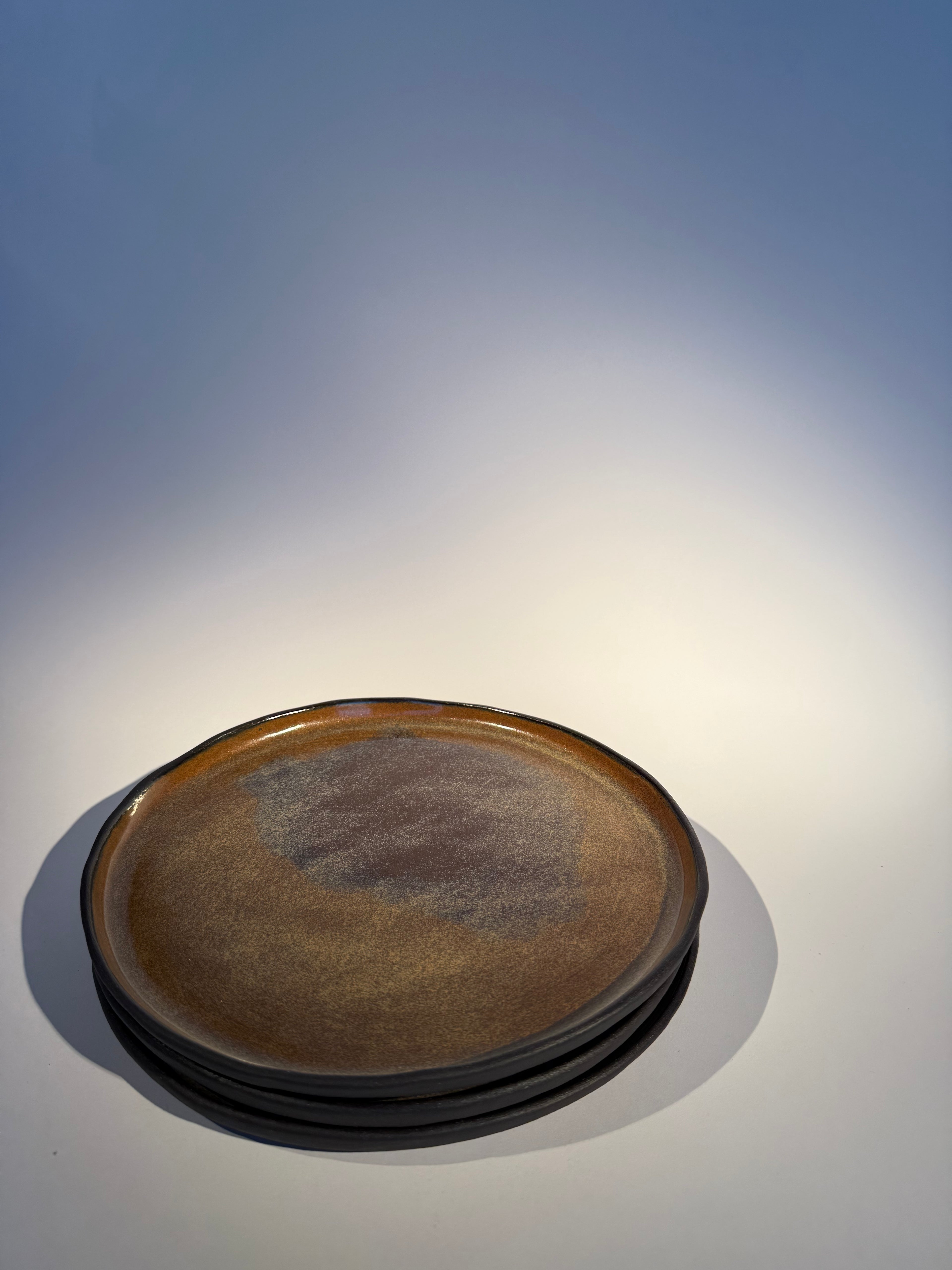 Lėkštė ŽEMĖ nr.2  Ø22 cm.