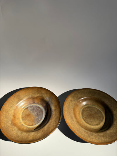 Gili lėkštė ŽEMĖ Ø22,5cm.